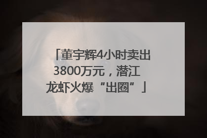 董宇辉4小时卖出3800万元，潜江龙虾火爆“出圈”